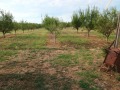Продава ПАРЦЕЛ, област Хасково, с. Минерални бани • 15340 € • 29652590 — Holmes.bg