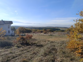 ������ ������� ������