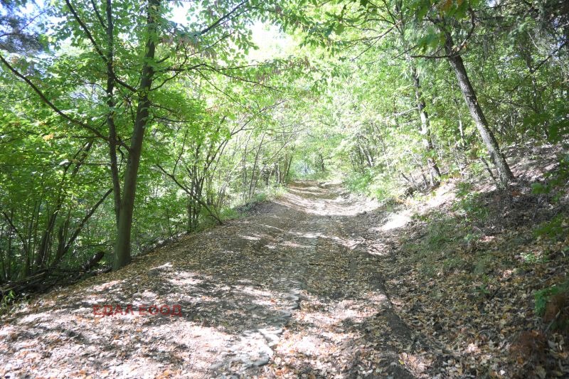 Eladó  Cselekmény Sofia , v.z.Gorna banja , 1270 négyzetméter | 78158402 - kép [6]