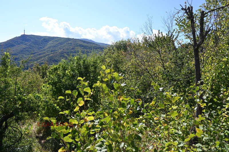 Eladó  Cselekmény Sofia , v.z.Gorna banja , 1270 négyzetméter | 78158402 - kép [9]