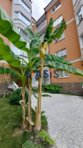 Продава 2-СТАЕН, к.к. Слънчев бряг, област Бургас, снимка 14