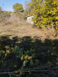 Продава ПАРЦЕЛ, област Шумен, с. Панайот Волово • 85000 € • 53621083 3