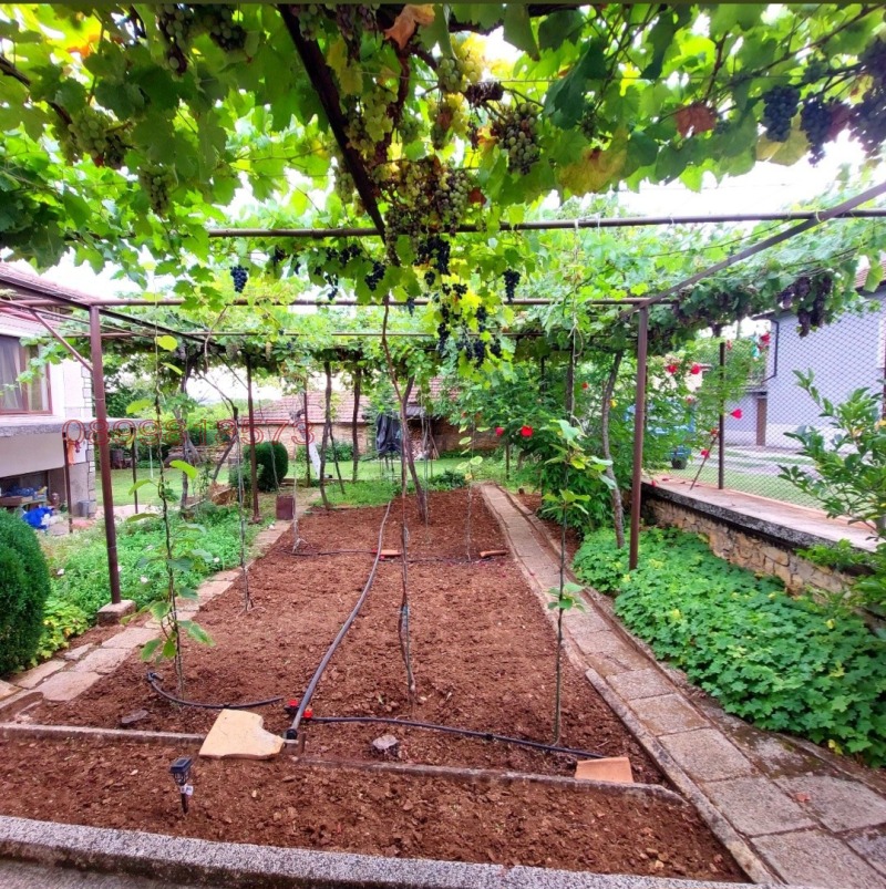 Продава КЪЩА, с. Яворово, област Стара Загора, снимка 6 - Къщи - 52782551