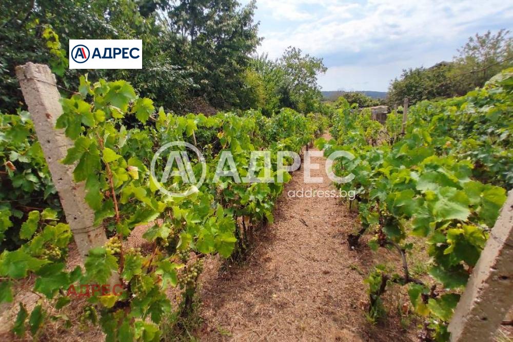 Продава КЪЩА, с. Кичево, област Варна, снимка 15 - Къщи - 55654954