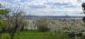 Продава ЕТАЖ ОТ КЪЩА, гр. Варна, м-т Пчелина, снимка 1