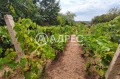 Продава КЪЩА, с. Кичево, област Варна, снимка 15