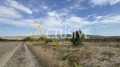 Продава ПАРЦЕЛ, с. Рогачево, област Добрич, снимка 5