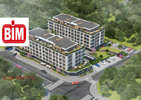 ����� ������� 2-�����,���� �������, ������� �������