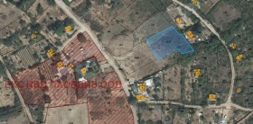 ������ ������� ������