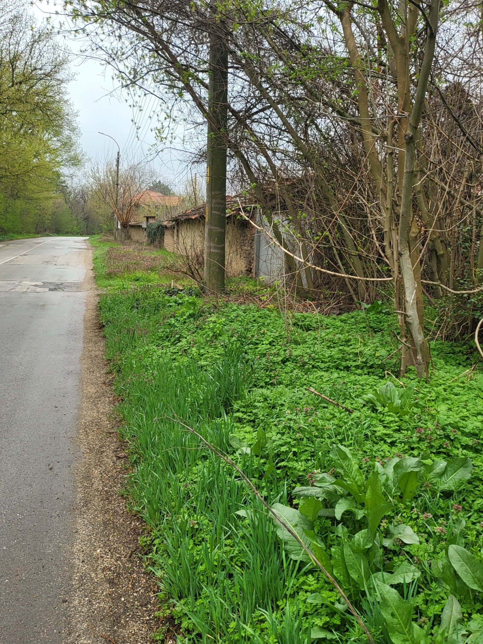 Продава КЪЩА, с. Одърне, област Плевен, снимка 2 - Къщи - 54376003