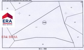 ����� ������� ������,���� �����, ����� ����