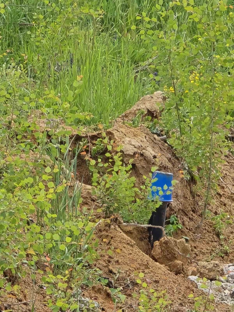 Till salu  Komplott region Sofia , Godetj , 2731 kvm | 54313250 - bild [5]