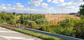 ������ ������� ������