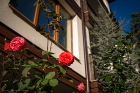 ������� 3-����� | Imot.bg � ����� ������ 12