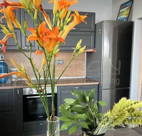 ������� ���� | Imot.bg � ����� ������ 5