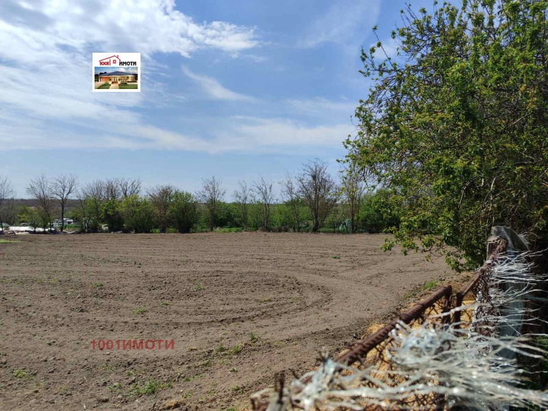 Προς πώληση  Οικόπεδο περιοχή Dobrich , Πολκοβνηκ Μηνκοβο , 2000 τ.μ | 46491815 - εικόνα [8]