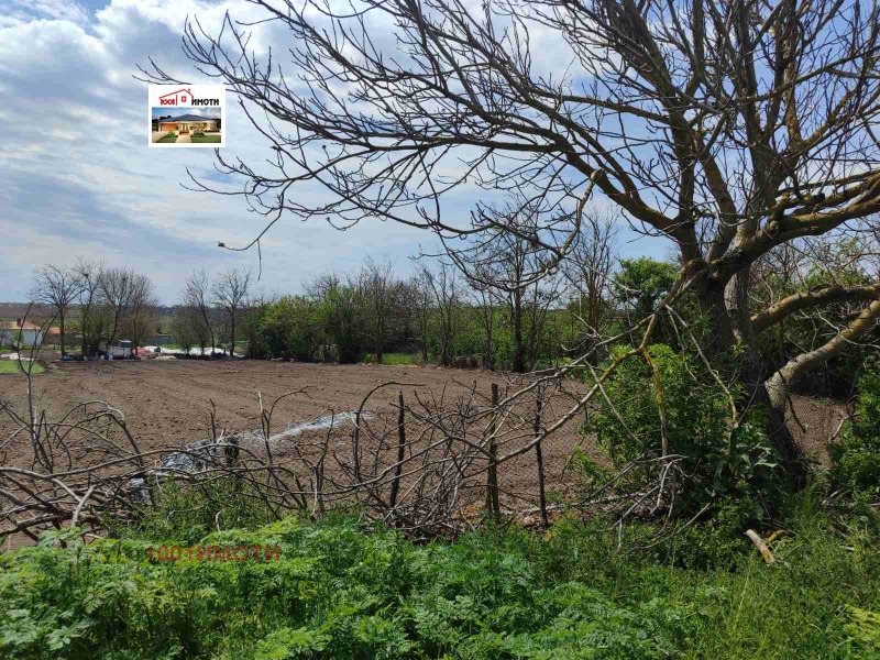 Προς πώληση  Οικόπεδο περιοχή Dobrich , Πολκοβνηκ Μηνκοβο , 2000 τ.μ | 46491815 - εικόνα [4]