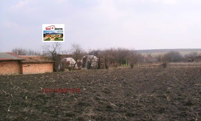 Zu verkaufen  Handlung region Dobritsch , Polkownik Minkowo , 2000 qm | 46491815 - Bild [2]