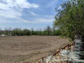 Продава ПАРЦЕЛ, област Добрич, с. Полковник Минково • 27000 € • 54982222 — Holmes.bg