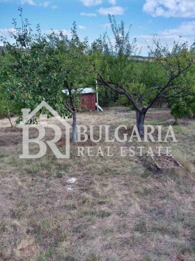 ����� ������� ����,�. ������, ������ ������