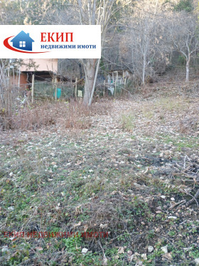 ����� ������� ������,�. �������, ������ �����