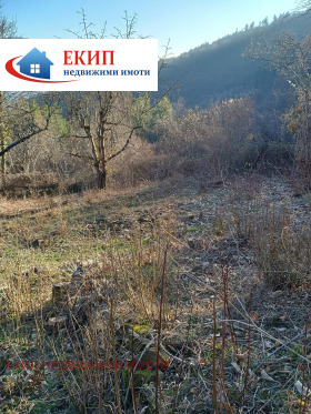 ������� ������ | Imot.bg � ����� ������ 6