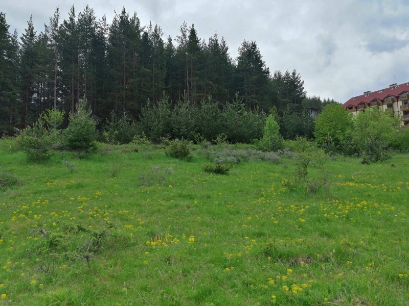 For Sale  Plot region Blagoevgrad , Bansko , 10557 sq.m | 37494263 - image [14]