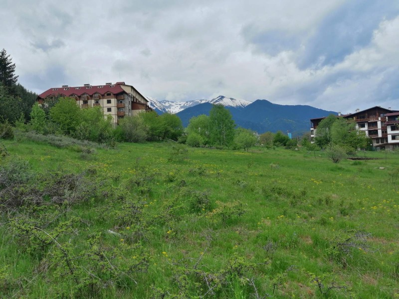 For Sale  Plot region Blagoevgrad , Bansko , 10557 sq.m | 37494263 - image [15]