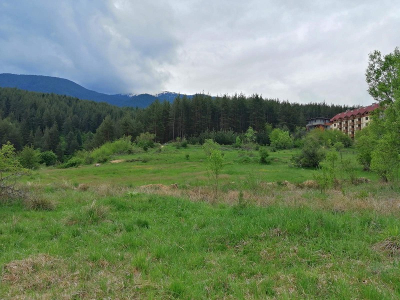 For Sale  Plot region Blagoevgrad , Bansko , 10557 sq.m | 37494263 - image [17]