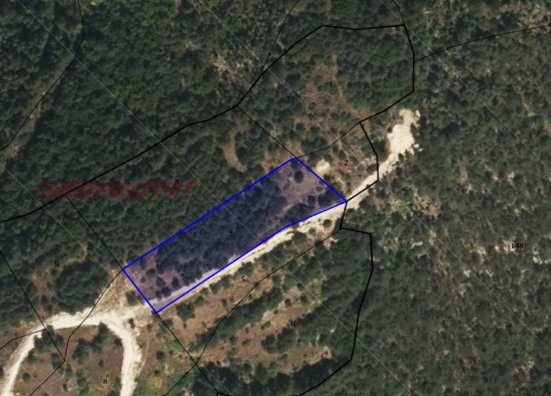 Til salgs  Land region Plovdiv , Tri mogili , 2 dka | 94142484