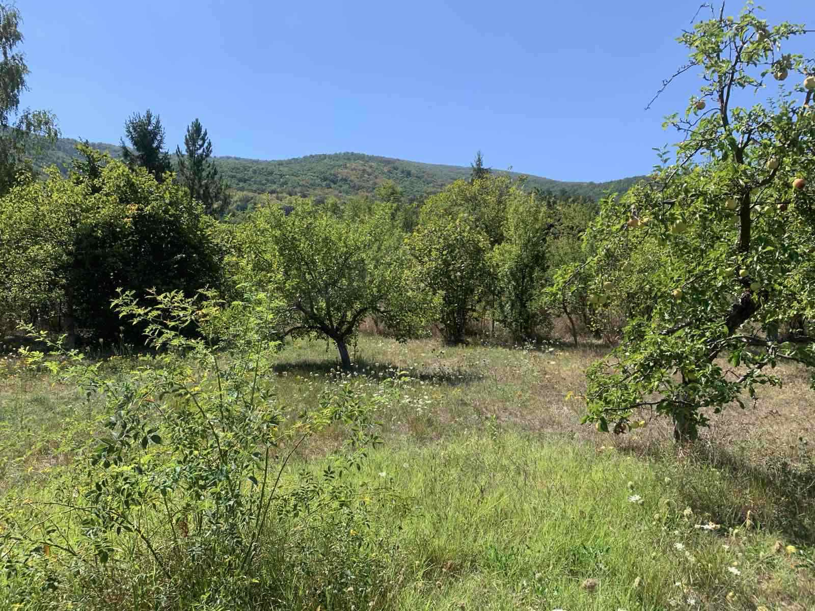 ������� ������ | Imot.bg � ����������� 3