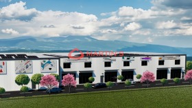 ����� ������� �����,���� �����, ���������