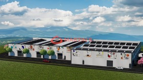 ����� ������� �����,���� �����, ���������