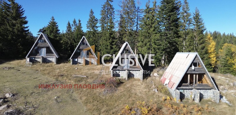 Продава ВИЛА, к.к. Пампорово, област Смолян, снимка 4 - Вили - 52273569