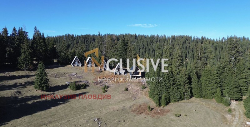 Продава ВИЛА, к.к. Пампорово, област Смолян, снимка 3 - Вили - 52273569