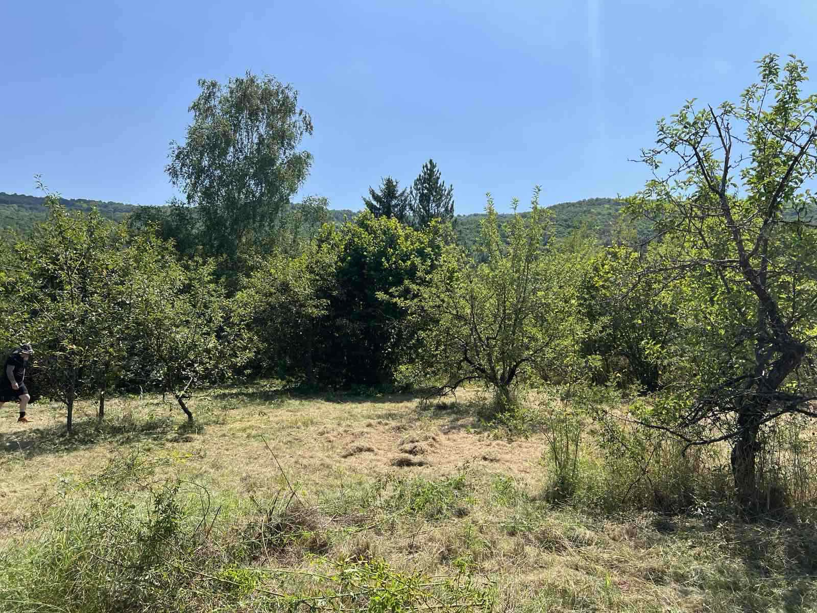 Продава ПАРЦЕЛ, с. Черньово, област София област, снимка 2 - Парцели - 55590431