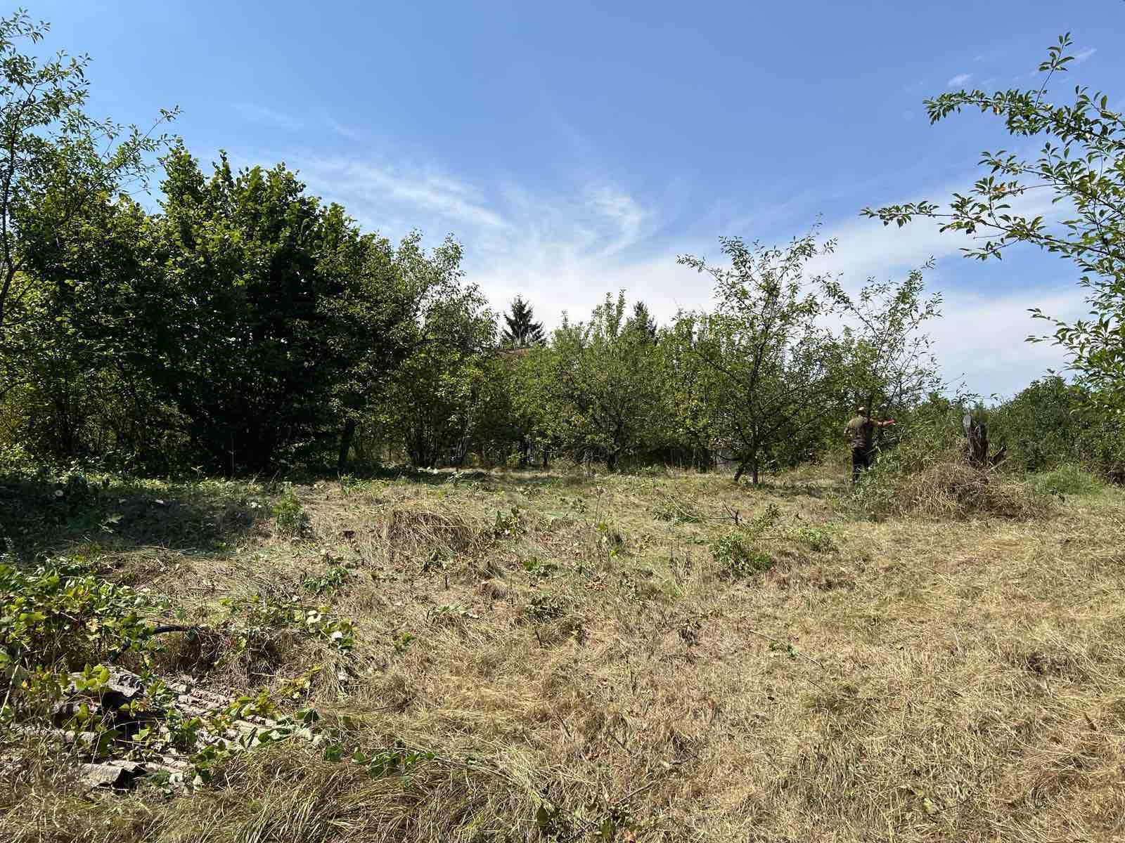 Продава ПАРЦЕЛ, с. Черньово, област София област, снимка 4 - Парцели - 55590431