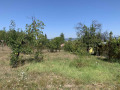 Продава ПАРЦЕЛ, с. Черньово, област София област, снимка 1