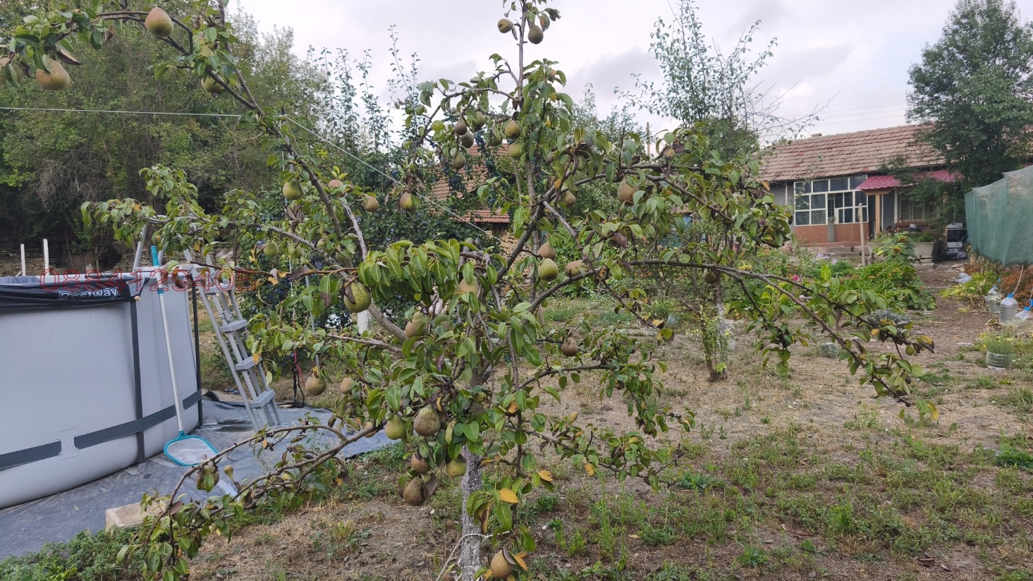 ������� ���� | Imot.bg � ����������� 13