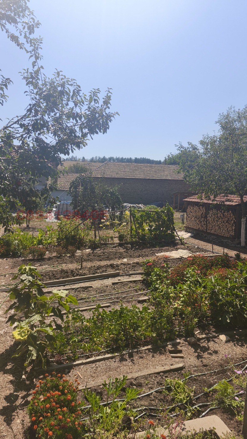 ������� ���� | Imot.bg � ����������� 14