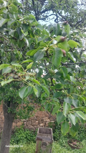 ������� ���� | Imot.bg � ����� ������ 8