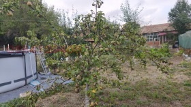 ������� ���� | Imot.bg � ����� ������ 13
