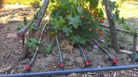 ������� ���� | Imot.bg � ����� ������ 16