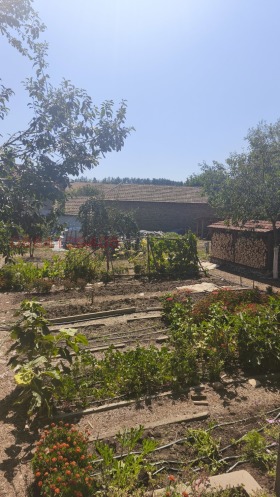 ������� ���� | Imot.bg � ����� ������ 14