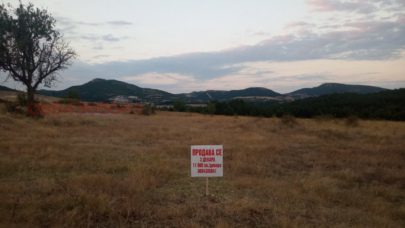 Продава ЗЕМЕДЕЛСКА ЗЕМЯ, гр. Кърджали, област Кърджали, снимка 2 - Земеделска земя - 52784876