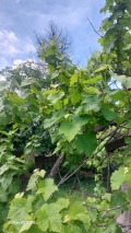 Продава КЪЩА, с. Дъбене, област Пловдив, снимка 7