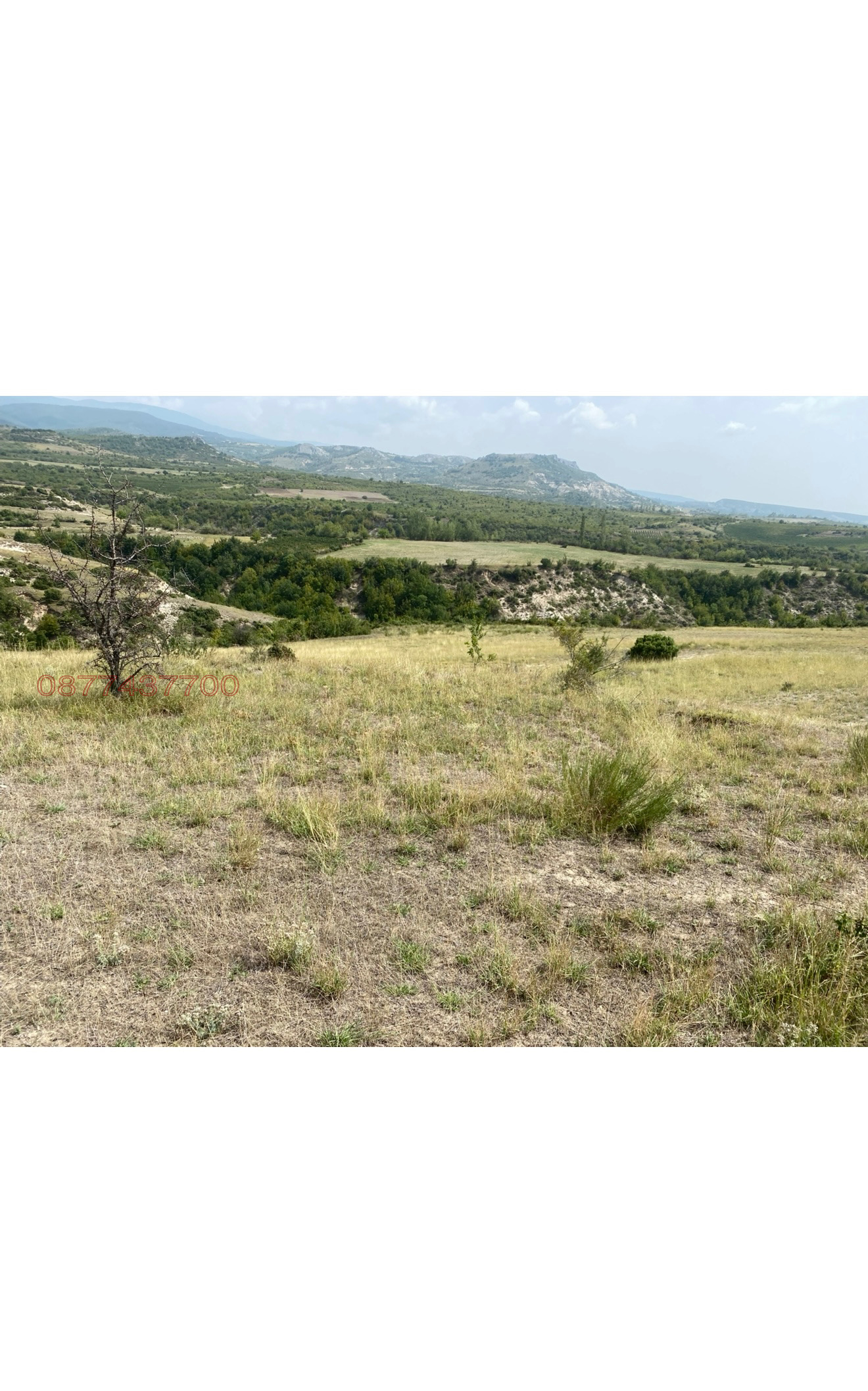 Продава ЗЕМЕДЕЛСКА ЗЕМЯ | Imot.bg — изображение 3