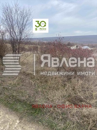 Продава ПАРЦЕЛ, с. Рогачево, област Добрич, снимка 3 - Парцели - 48020543