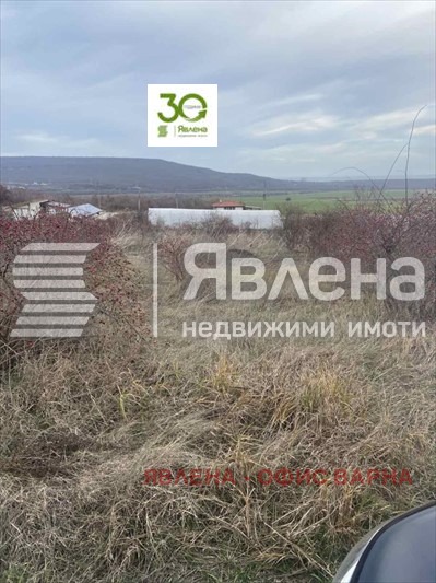 Продава ПАРЦЕЛ, с. Рогачево, област Добрич, снимка 2 - Парцели - 48020543