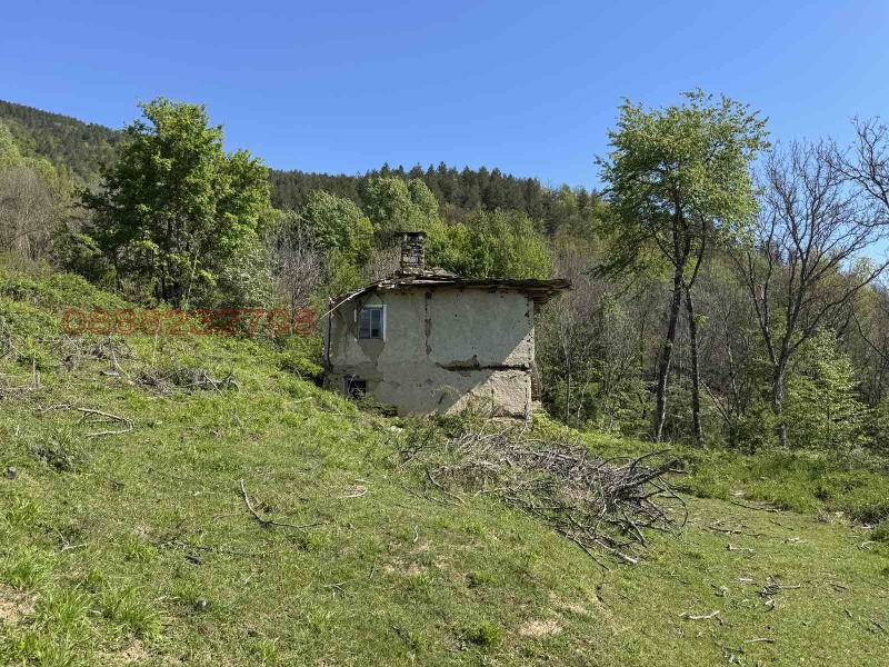 Til salgs  Plott region Gabrovo , Selishte , 5200 kvm | 29730991 - bilde [8]
